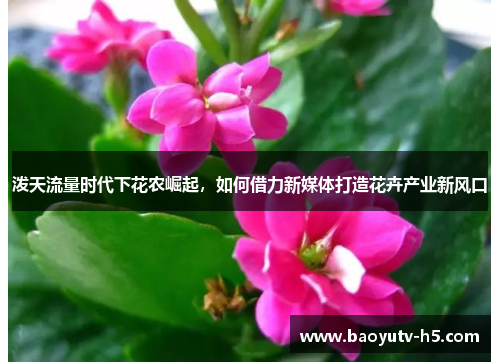 泼天流量时代下花农崛起,如何借力新媒体打造花卉产业新风口